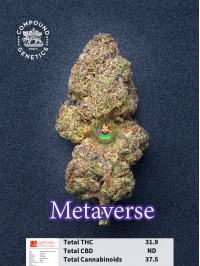 metaverse